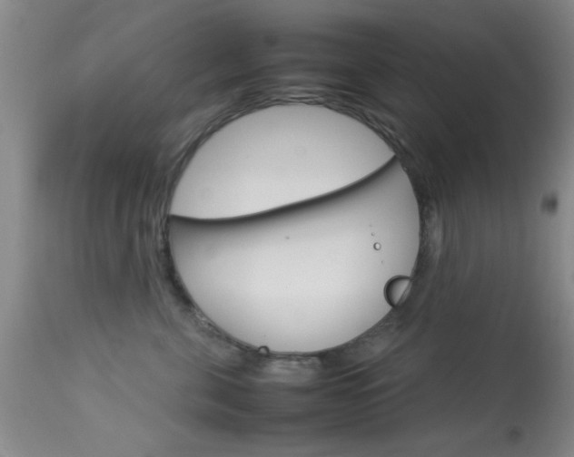 X0000113930571200909250919