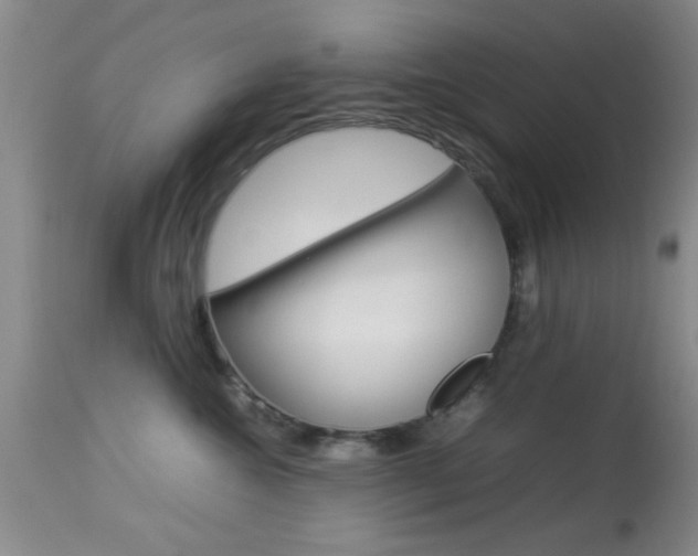 X0000113930572200909250919
