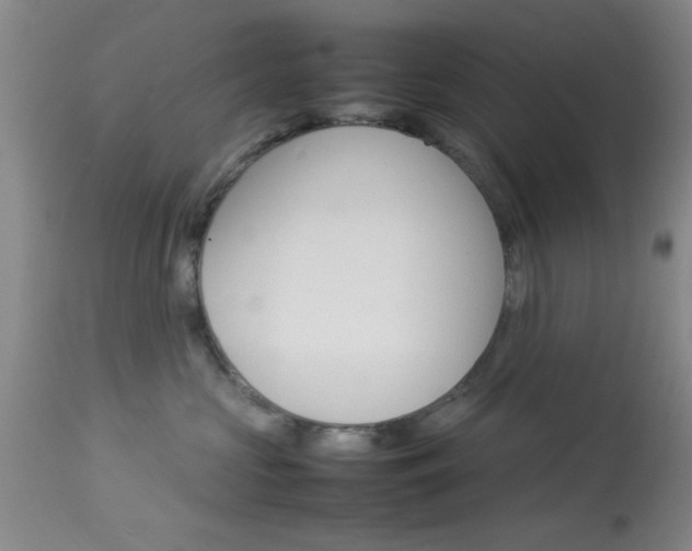 X0000113930573200909250919