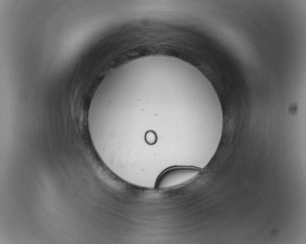 X0000113930574200909250919