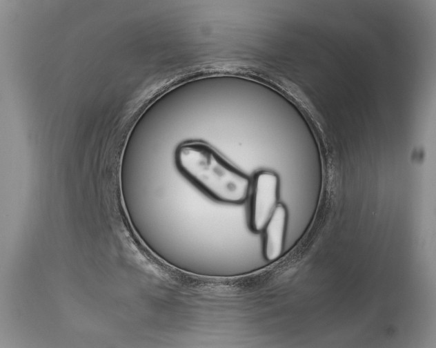 X0000113930577200909250918