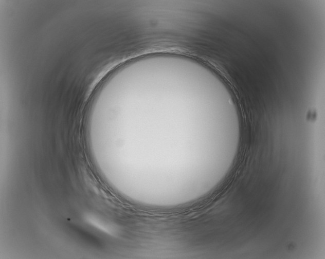 X0000113930579200909250918