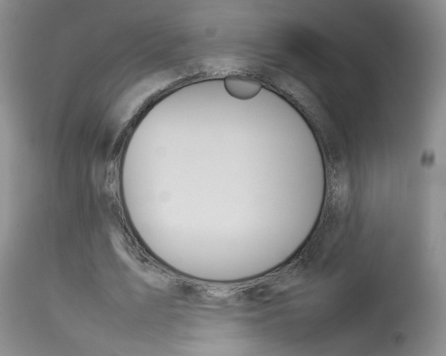 X0000113930583200909250918