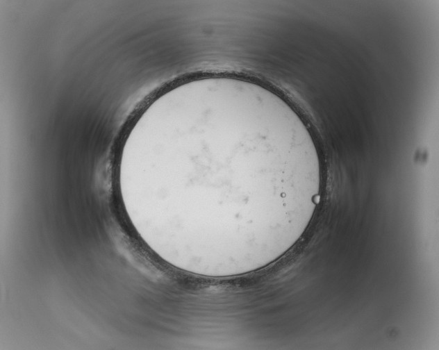 X0000113930584200909250918