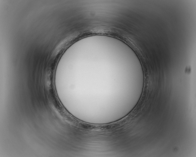 X0000113930586200909250918
