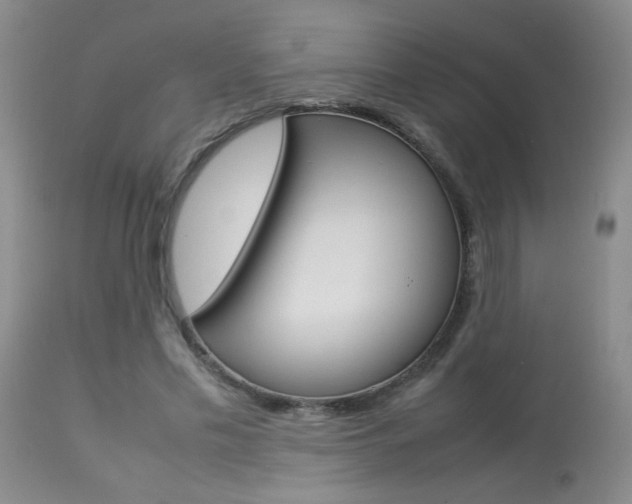 X0000113930589200909250918