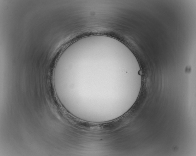 X0000113930591200909250918