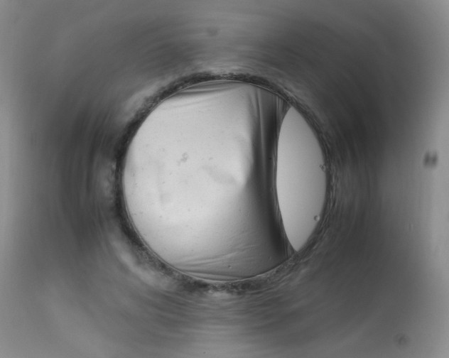 X0000113930592200909250918