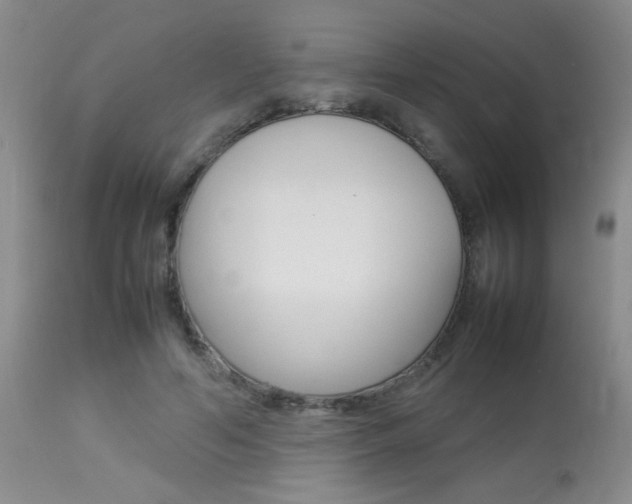 X0000113930594200909250918