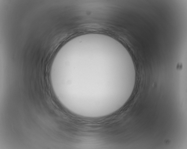 X0000113930597200909250918