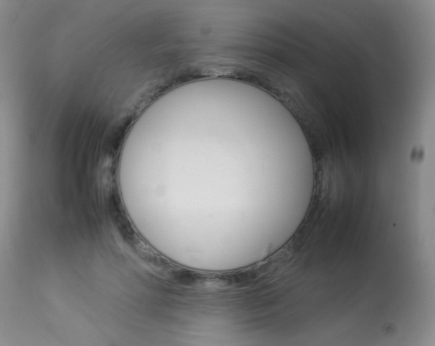 X0000113930598200909250918