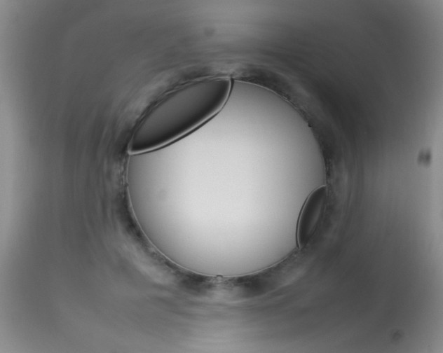 X0000113930601200909250918
