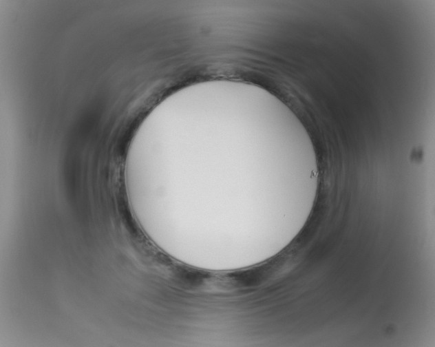 X0000113930603200909250918