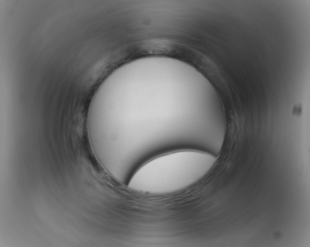 X0000113930604200909250918