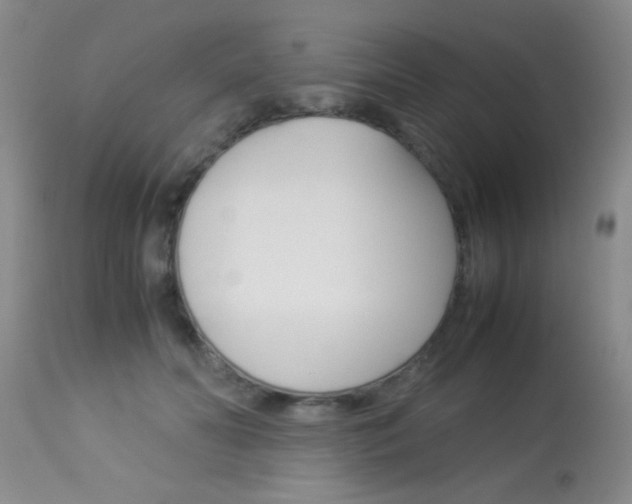 X0000113930606200909250918