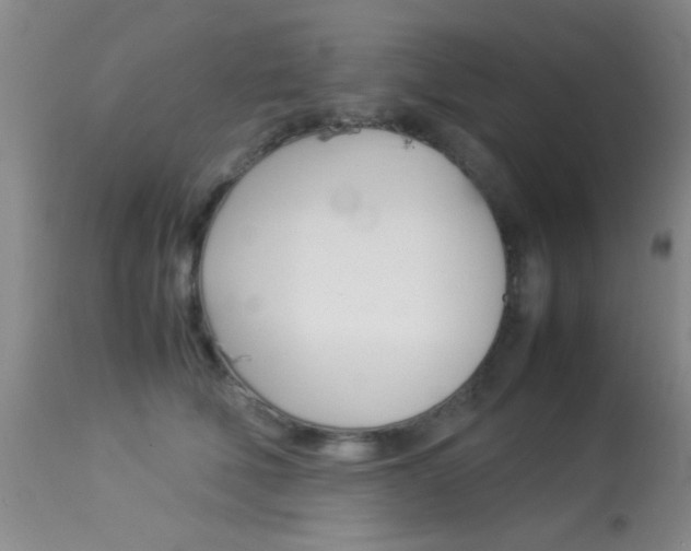 X0000113930610200909250918