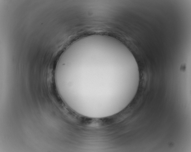 X0000113930612200909250917