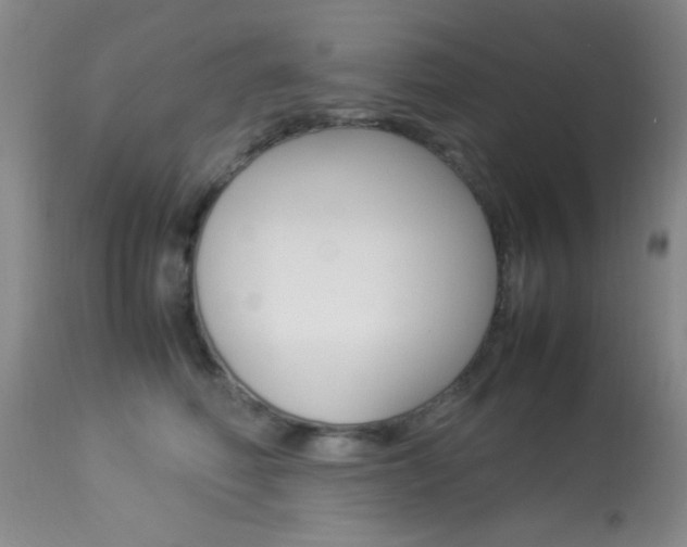 X0000113930614200909250917
