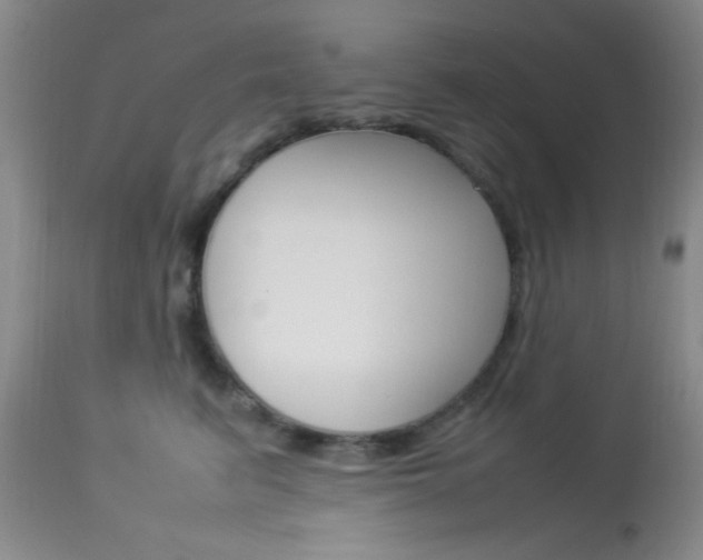X0000113930615200909250917