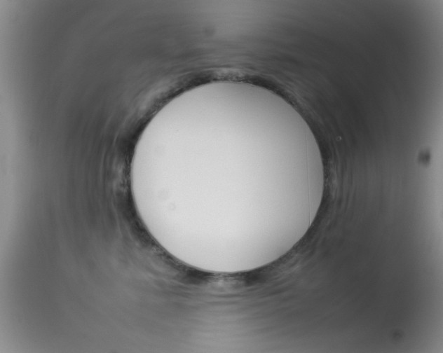 X0000113930619200909250917