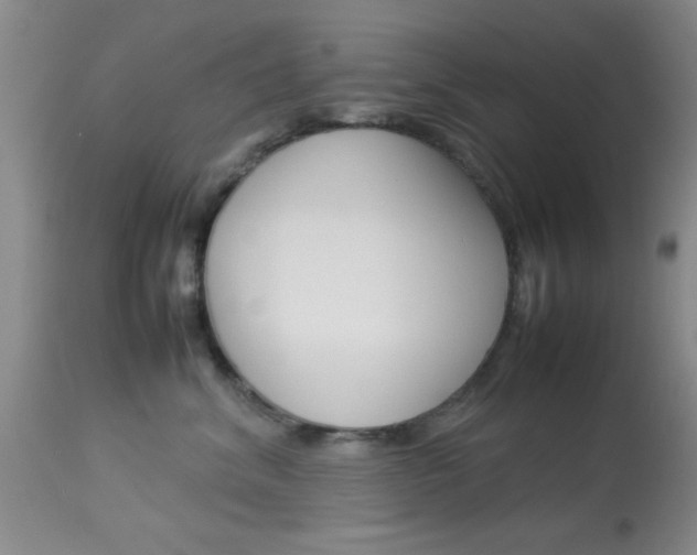 X0000113930620200909250917
