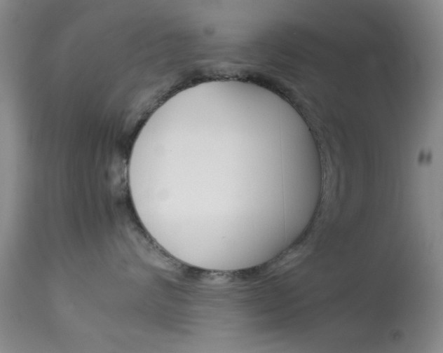 X0000113930624200909250917