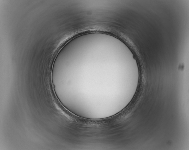 X0000113930625200909250917