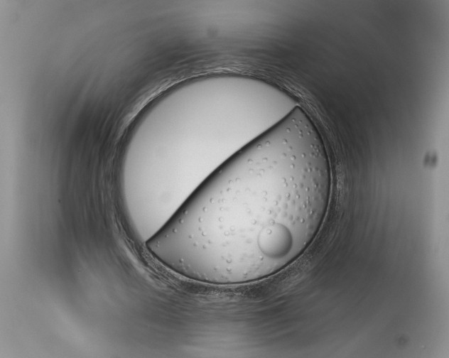 X0000113930626200909250917