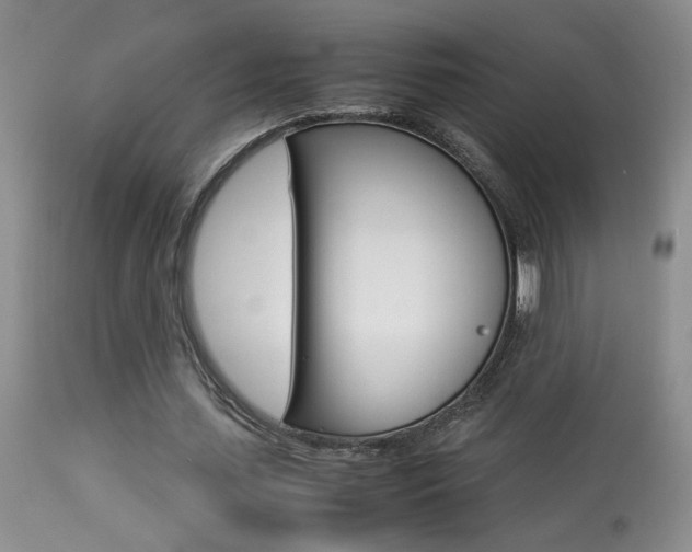 X0000113930627200909250917