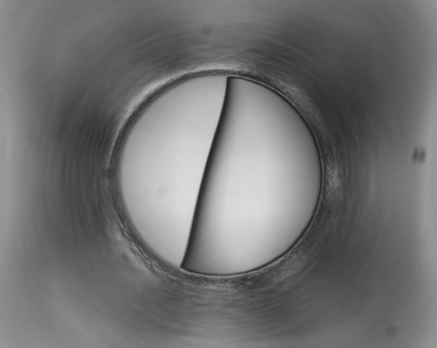 X0000113930628200909250917