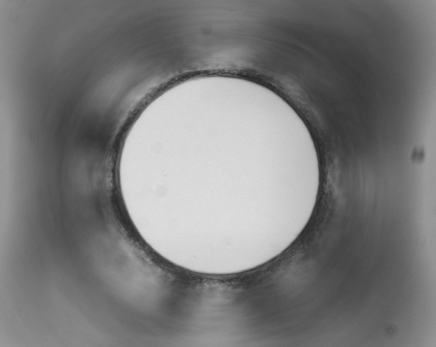 X0000113930632200909250917