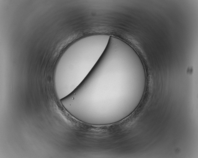 X0000113930633200909250917