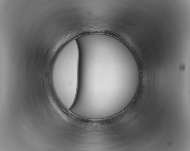 X0000113930634200909250917