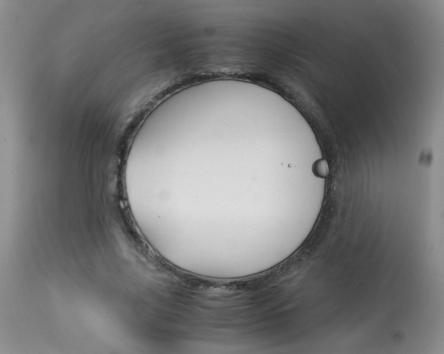 X0000113930635200909250917
