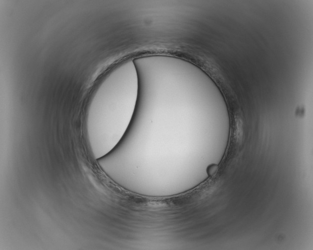 X0000113930636200909250917