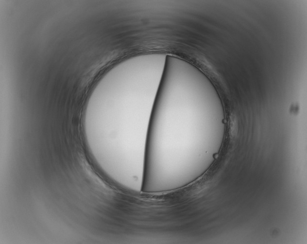X0000113930637200909250917
