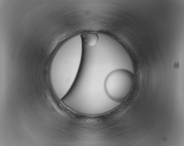 X0000113930638200909250917