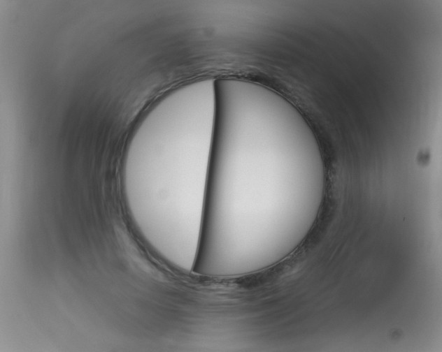 X0000113930642200909250917