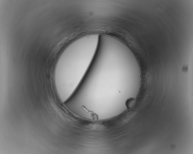 X0000113930644200909250917