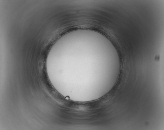 X0000113930645200909250917