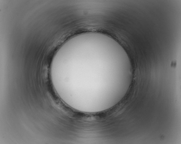 X0000113930646200909250917