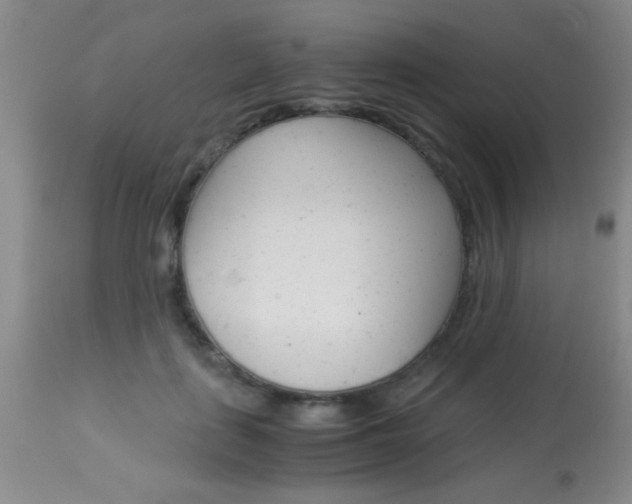 X0000113930651200909250917