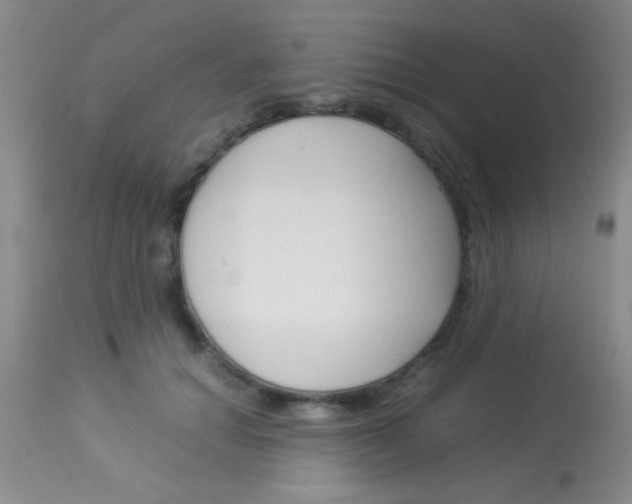 X0000113930654200909250917