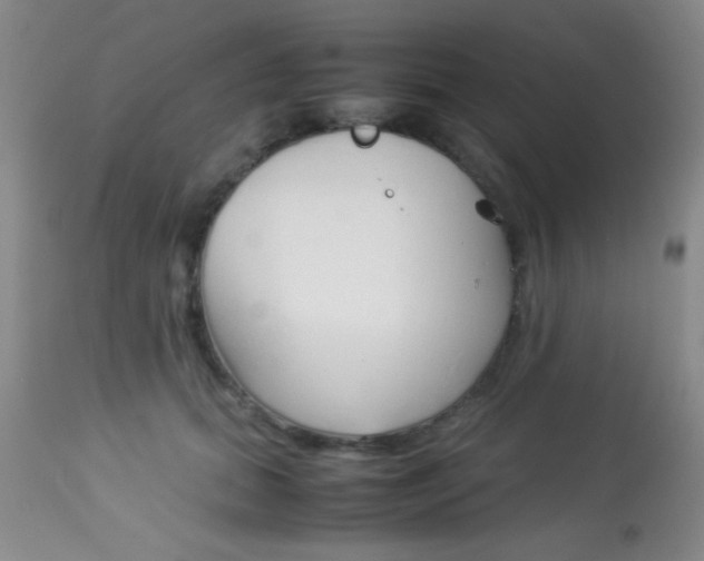 X0000113930655200909250917