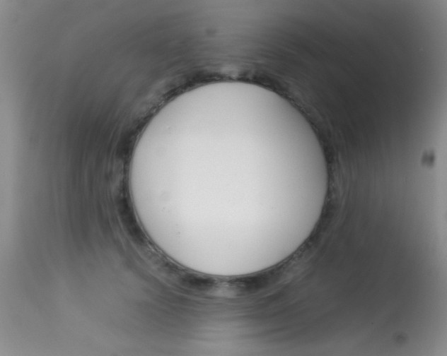 X0000113930656200909250917