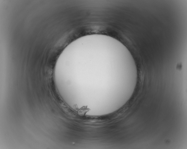 X0000113930657200909250917