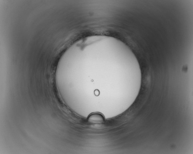 X0000113930658200909250917
