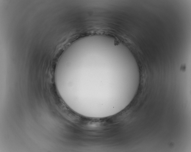 X0000113930661200909250917