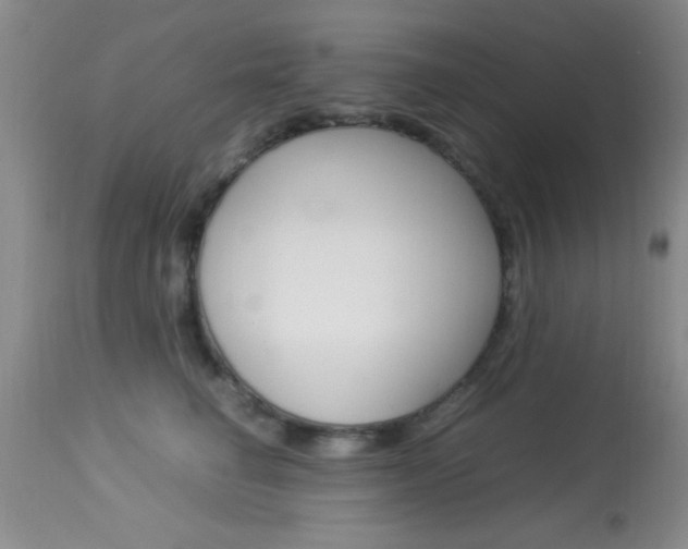 X0000113930662200909250917