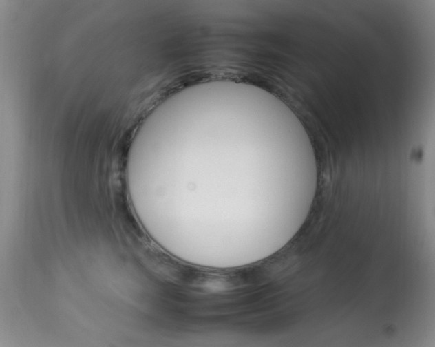 X0000113930663200909250917